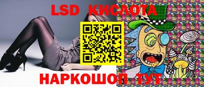гашик Сланцы