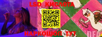 дмт Славгород