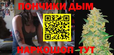 гашик Сланцы