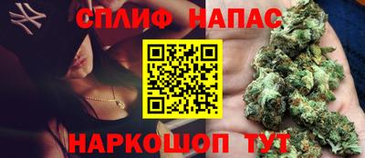 дмт Славгород