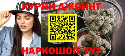 гашик Сланцы