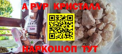 гашик Сланцы