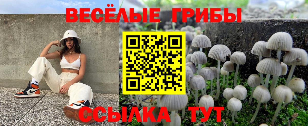 Галлюциногенные грибы ЛСД Сафоново