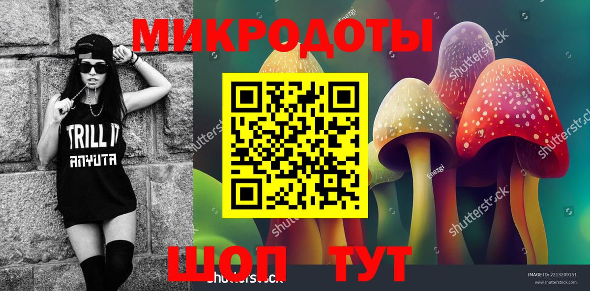 Сафоново  наркотики  Вход с VPN  Галлюциногенные грибы Psilocybe 